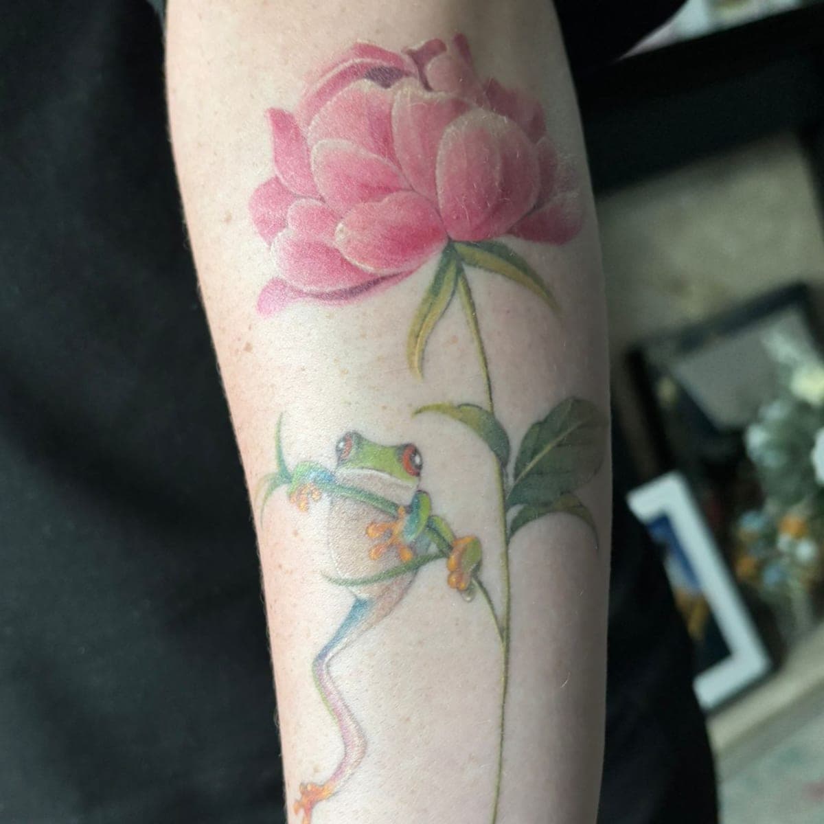 The same peony and frog tattoo once healed