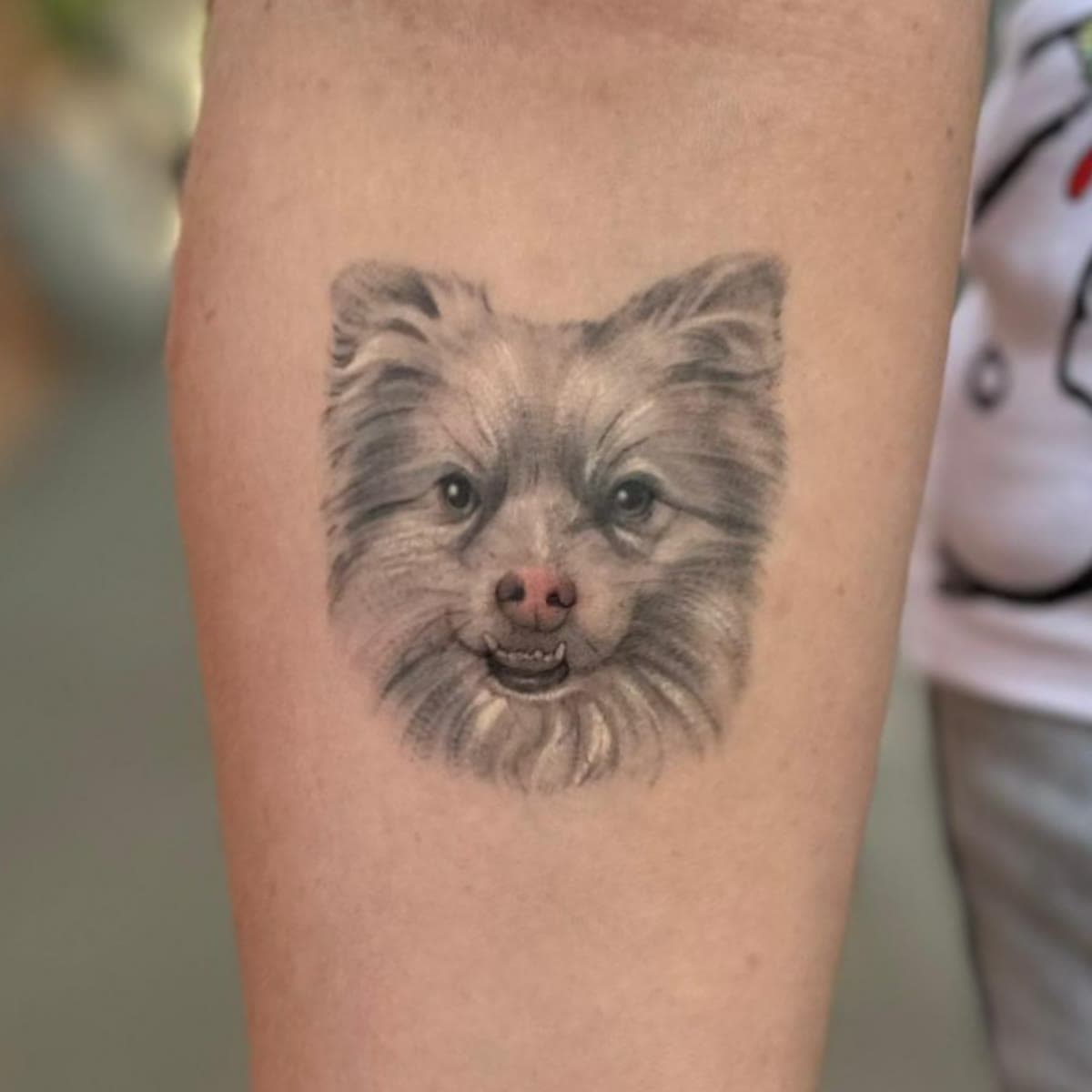 The same Pomeranian tattoo once healed