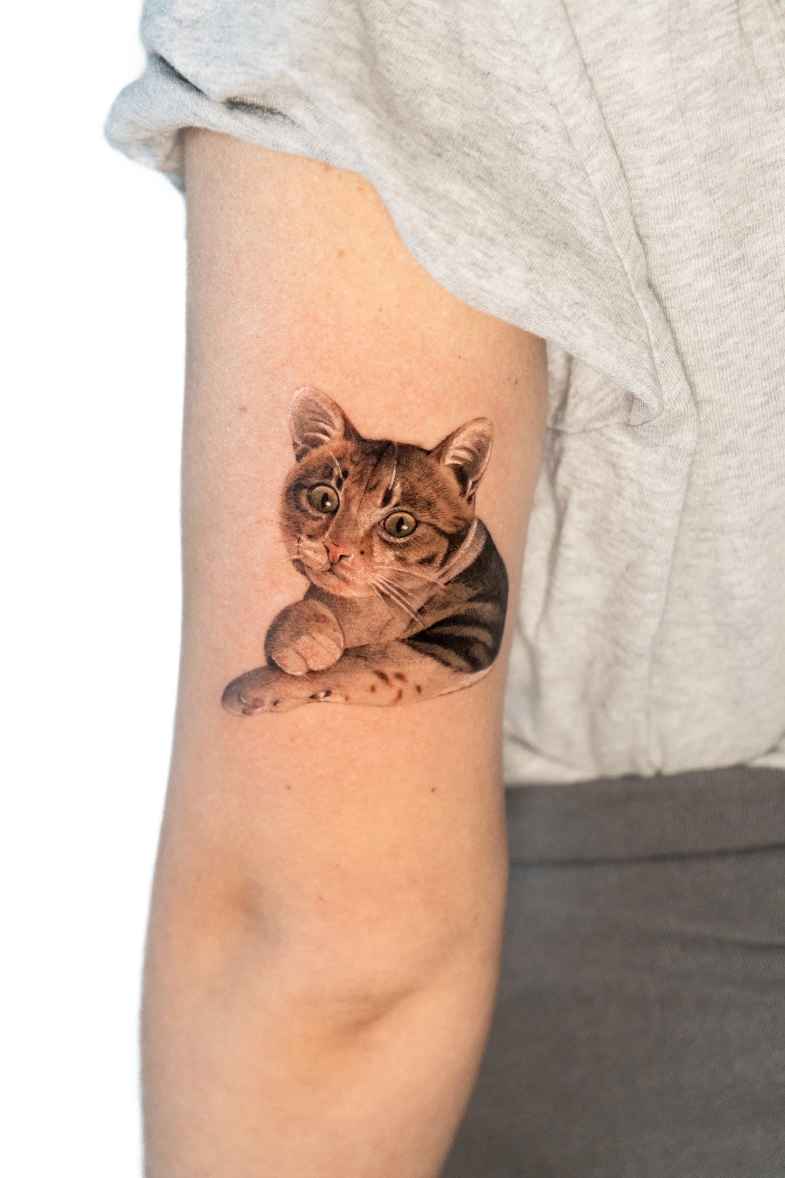 Tabby cat, tattoo by Nicolly