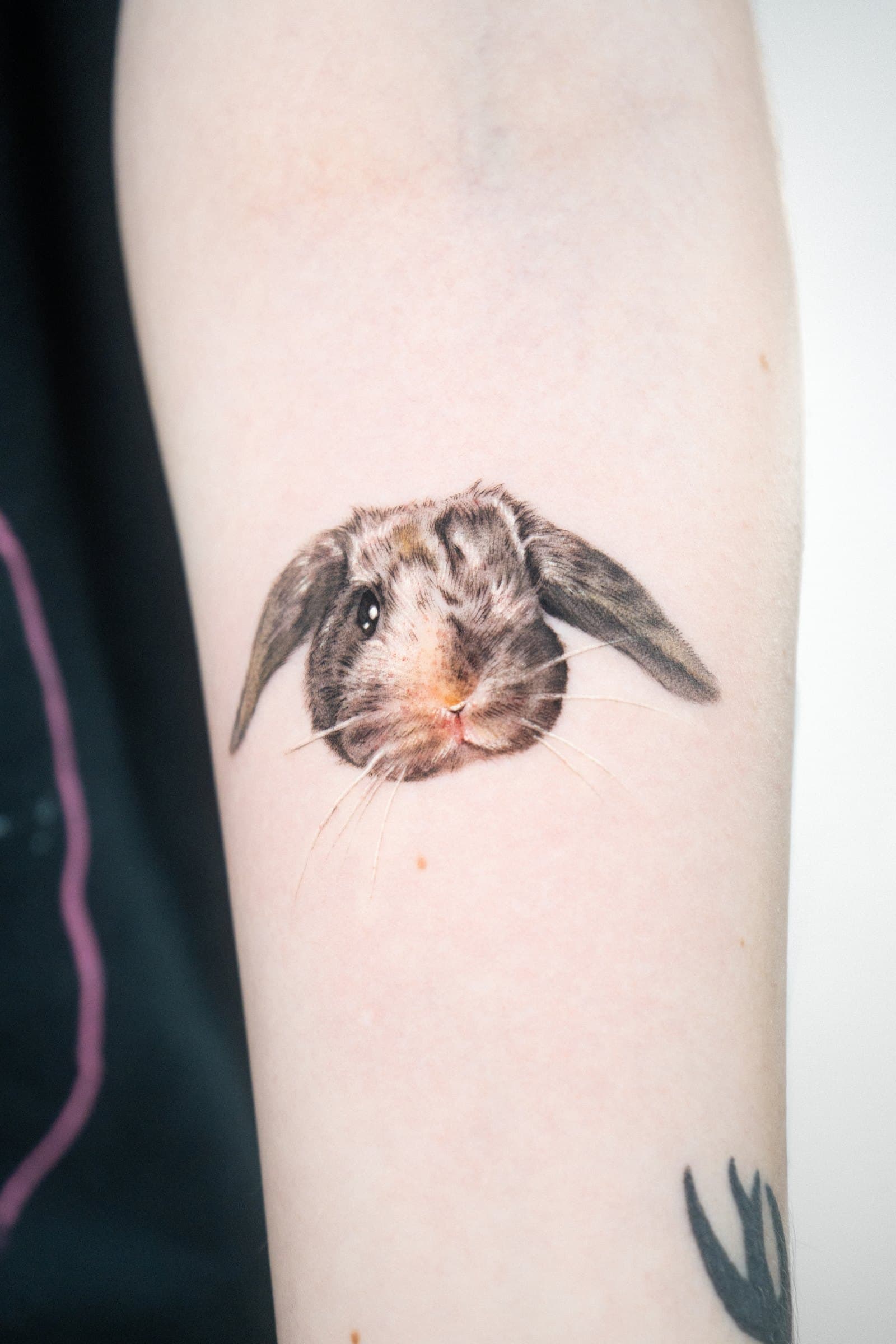 Lop-eared bunny, tattoo by Nicolly