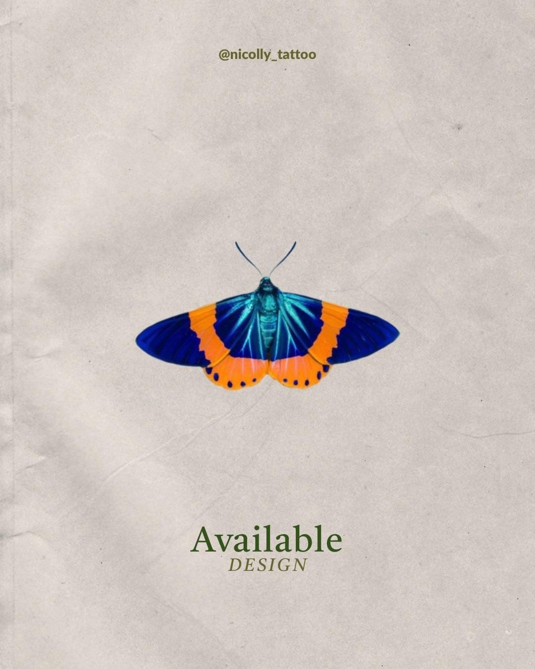 Blue and orange moth flash design