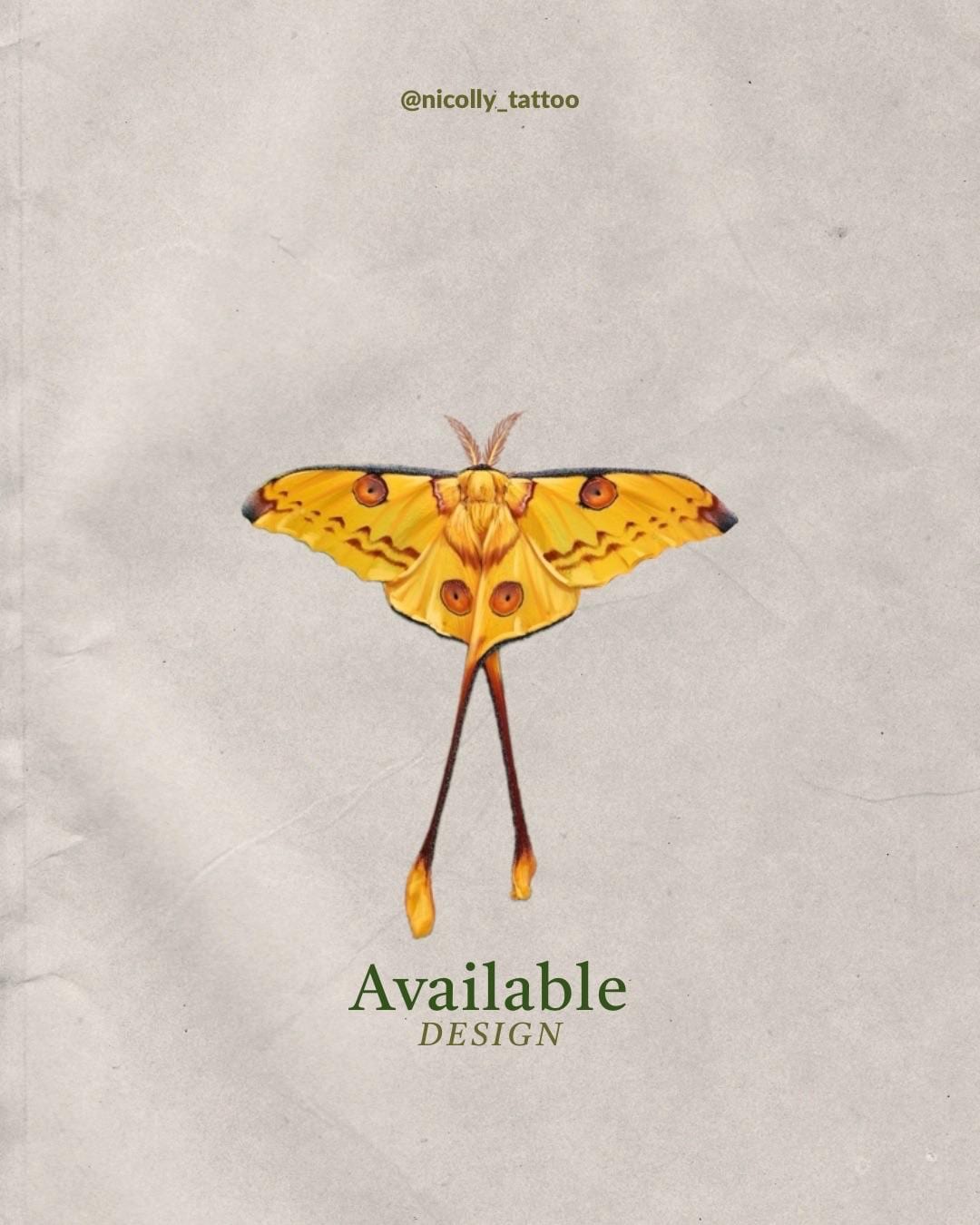 Comet moth flash design