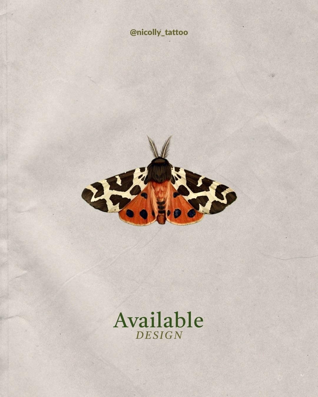 Garden tiger moth flash design