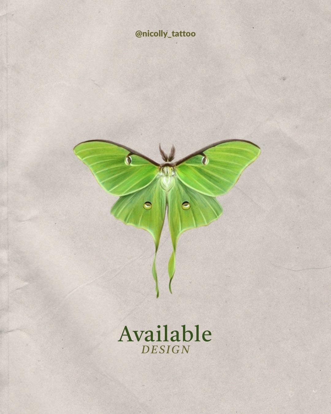 Luna moth flash design