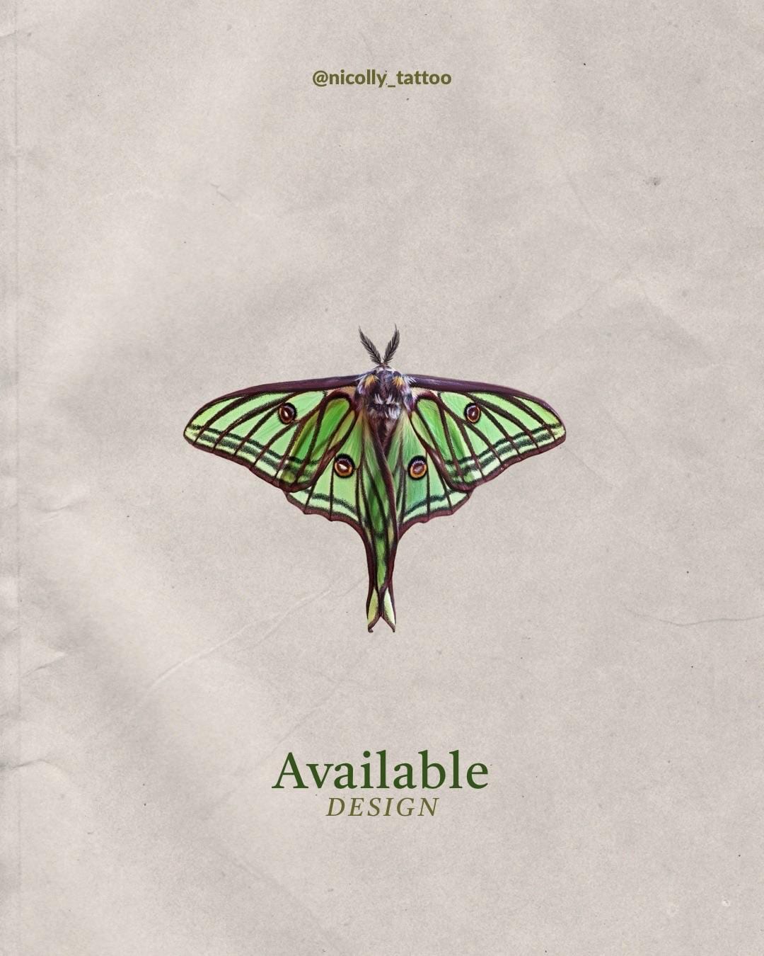 Spanish moon moth flash design