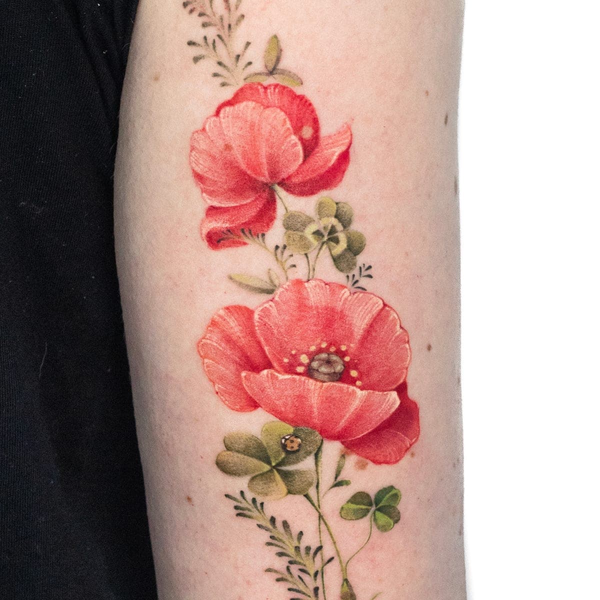 Fresh colour tattoo of two red poppies with clover on an upper arm