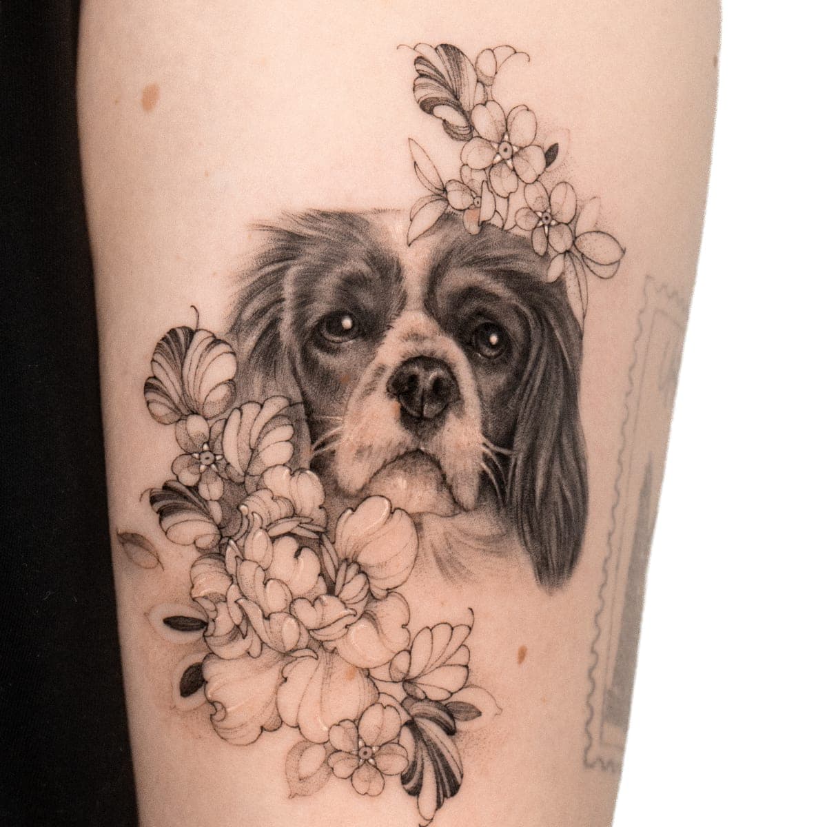 Fresh tattoo of a Cavalier King Charles spaniel framed by flowers on the back of an arm