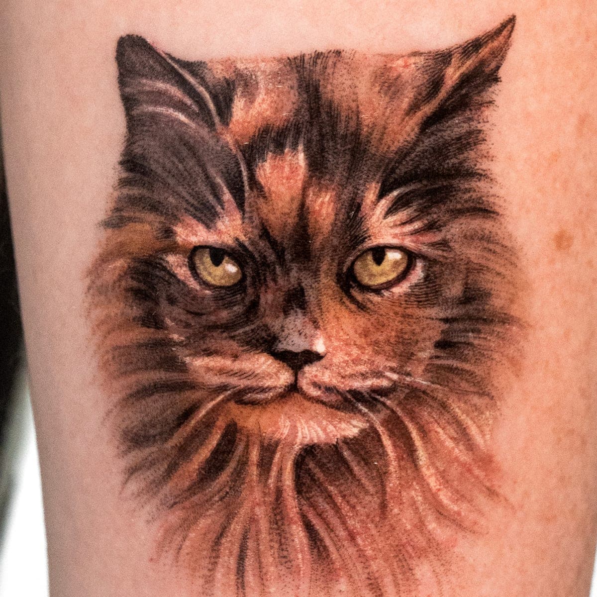 Colour tattoo of the tortoiseshell cat's face on a forearm
