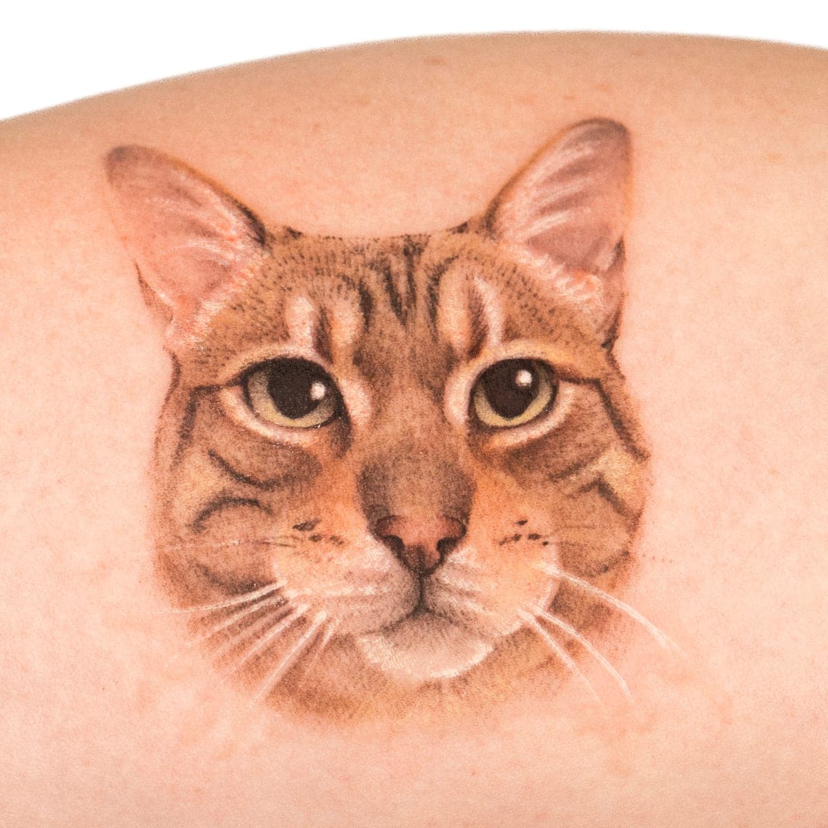 Colour tattoo of the tabby cat's face on a forearm