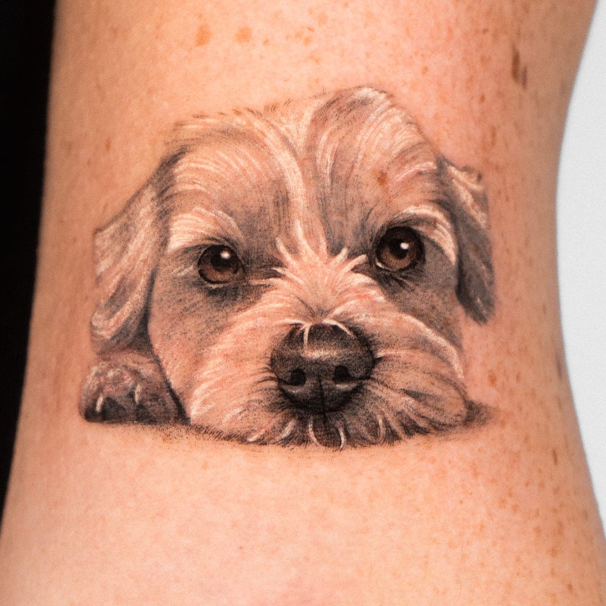 Black and grey tattoo of the white dog resting its chin, on an arm