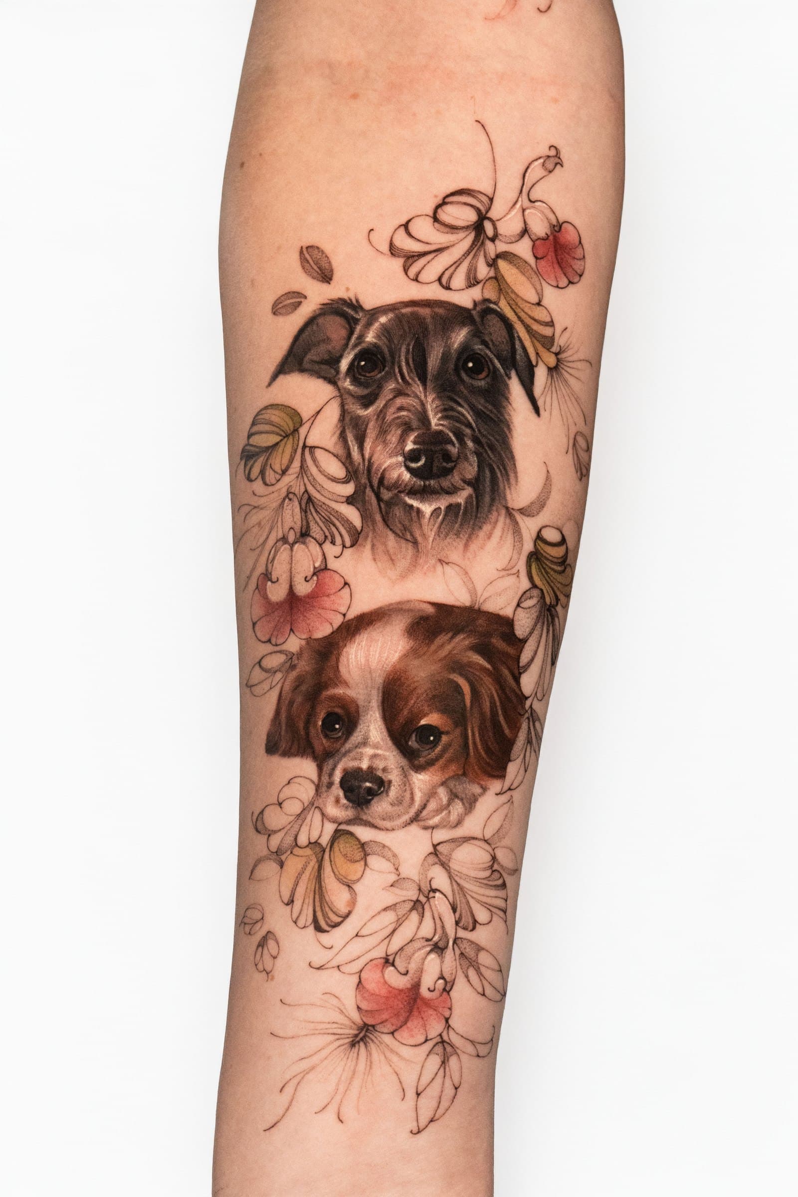 Two dog portraits framed with flowers